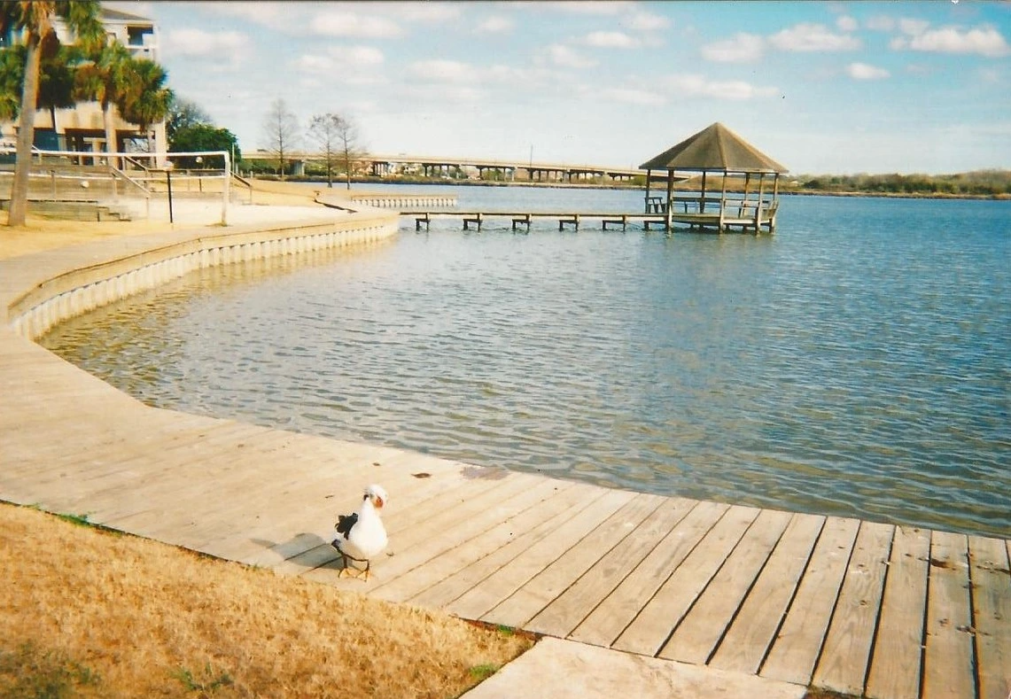 Docks & Piers
